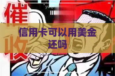 信用卡可以用美金还吗