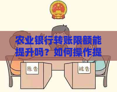 农业银行转账限额能提升吗？如何操作提高转入限额？