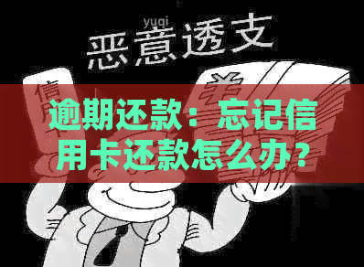 逾期还款：忘记信用卡还款怎么办？避免影响信用的5个建议