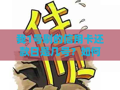 我1号刷的信用卡还款日是几号？如何计算免息期？错过还款会有什么后果？