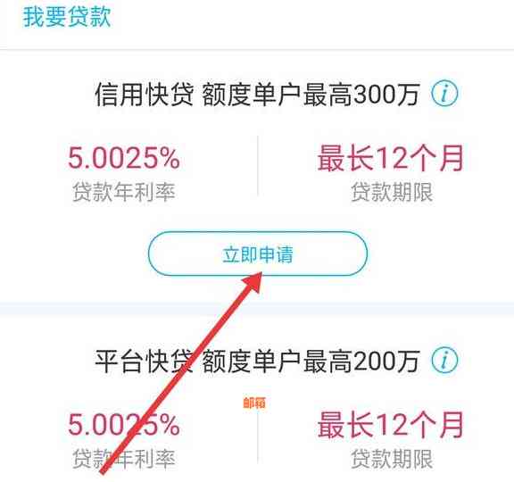 年三十还信用卡能到账吗怎么查-年三十还信用卡能到账吗怎么查询