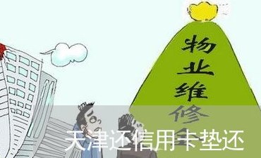 天津能垫还信用卡的地方