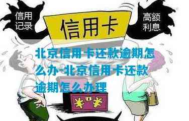 燕郊地区优质信用卡还款服务供应商盘点