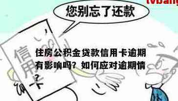 住房公积金还款攻略：逾期信用卡贷款的解决之道