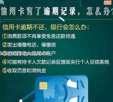 当兵期间信用卡还款计划调整：如何避免逾期与信用影响