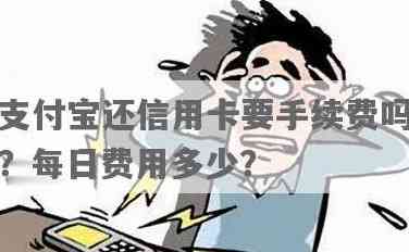 关于支付宝信用卡使用，手续费的相关信息及影响有哪些？