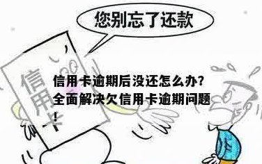 信用卡还款问题解答：逾期后额度消失如何补救？