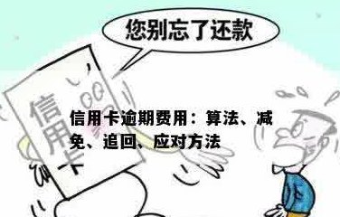 信用卡还款攻略：免费帮他人避免逾期罚款