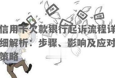 银行信用卡欠款问题：法律依据、解决方案及应对策略全面解析