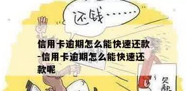 逾期快钱钱包还款全攻略：信用卡还款详细步骤与注意事项