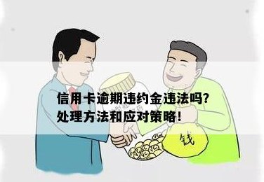 应对信用卡逾期违约：实用处理策略与避免高额违约金