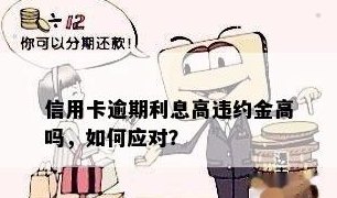 应对信用卡逾期违约：实用处理策略与避免高额违约金