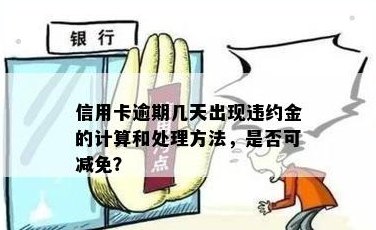 应对信用卡逾期违约：实用处理策略与避免高额违约金