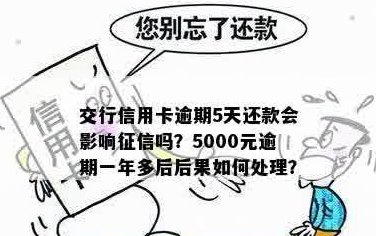 逾期一年未还款的5000元信用卡应该如何处理？