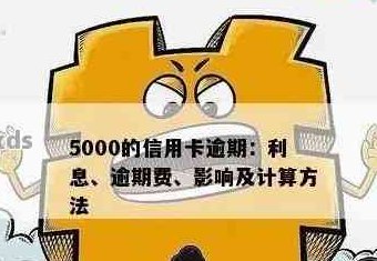 信用卡逾期5000元一年未还款，可能面临的后果与解决方法详解