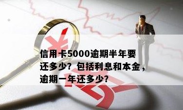 信用卡5000一年没还