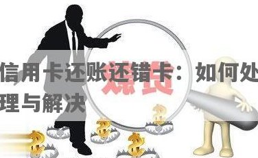 信用卡还款错误6万，如何处理？