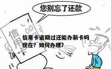 信用卡逾期后，现在能否申请新卡进行还款？