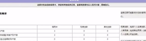 阴地区哪些银行可以查询个人记录？如何获取详细信息？