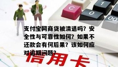 全面解析：网商银行信用卡还款安全性、可靠性及相关问题解答