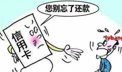 为什么信用卡没有账单信息了？