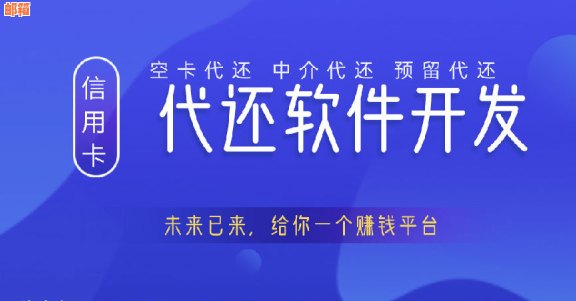 如何通过开发代还信用卡软件实现盈利？探讨其可行性及市场前景