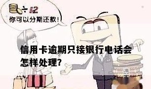 接到银行电话提醒信用卡逾期还款，该如何处理？