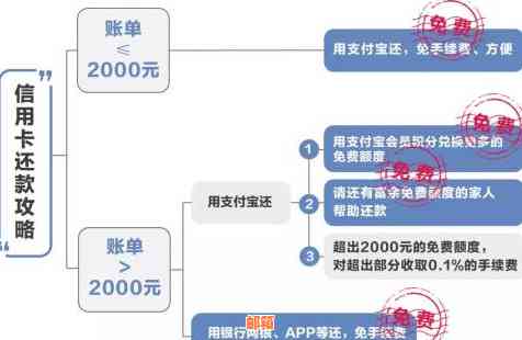 通过支付宝便捷操作实现信用卡还款，轻松掌握还款技巧与经验