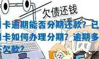 一次性还清信用卡欠款，如何操作？是否只还本金？可以分期还款吗？