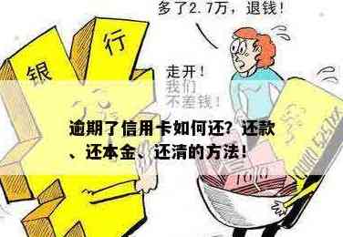 一次性还清信用卡欠款，如何操作？是否只还本金？可以分期还款吗？