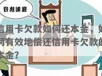 一次性还清信用卡欠款，如何操作？是否只还本金？可以分期还款吗？