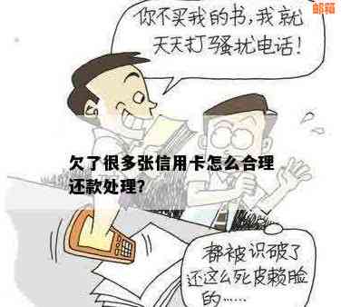 几张信用卡欠款怎么还合理