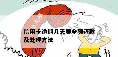 逾期信用卡还款全额电话要求解决策略