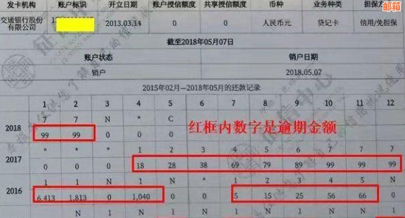 今天还信用卡后，报告何时更新？