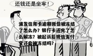 微信被冻结信用卡怎么还