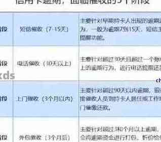 在信用卡未还清，回国后应如何处理？如何避免逾期费用和信用记录受损？