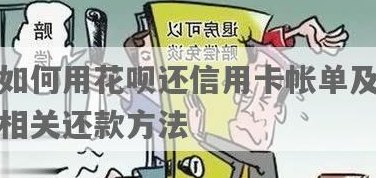 信用卡和花呗怎么相互还