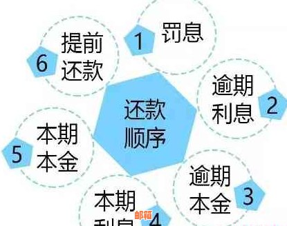 信用卡逾期还款策略：先还利息再还本金是否可行？