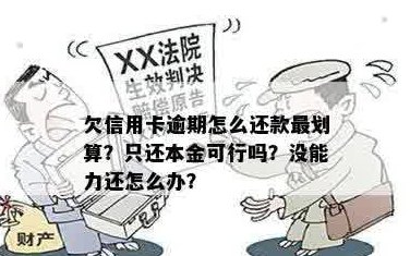 信用卡逾期还款策略：先还利息再还本金是否可行？