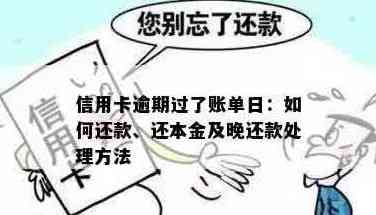 信用卡逾期还款：是否可以仅还本金而无需支付利息？了解详细规定和解决方法