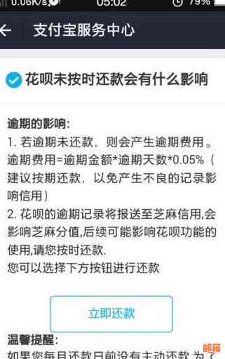 电脑还花呗怎么还步骤：支付宝贷款还款指南