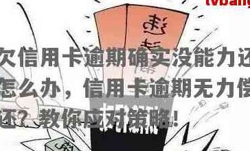 债务困境：信用卡欠款10万，无力偿还，如何解决？