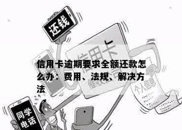 信用卡欠款利息如何免除：全面解析还款策略与法律规定