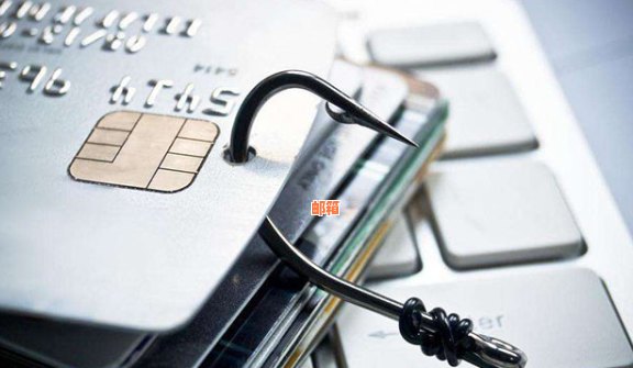 信用卡被盗刷：我应该如何应对？这里有全面的解决方案！