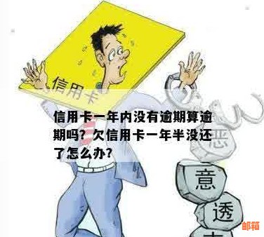 信用卡欠款一年怎么还