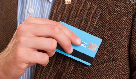 支付宝是否可以帮助招商银行信用卡还款？