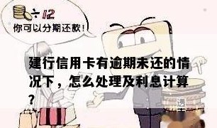 未按时还款的建行信用卡解决方案：逾期处理、利息计算、账户管理全解析