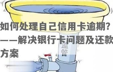 未按时还款的建行信用卡解决方案：逾期处理、利息计算、账户管理全解析