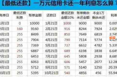 使用信用卡预借现金进行还款的全攻略：步骤、利息和注意事项详解