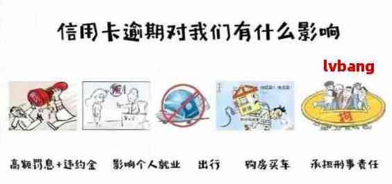 信诺意外险还信用卡：影响、报销与信用卡的关系